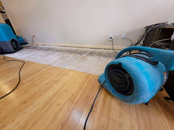 Professional Emergency Water Damage technician working in San Felipe, TX